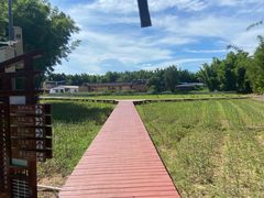 -苏家围·东江画廊旅游景区