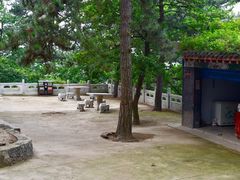-大芦花风景区