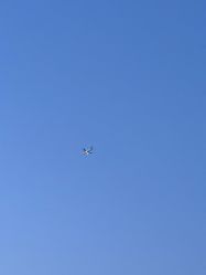 -中国黄金(北京旗舰店)