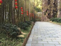 -大罗山风景区