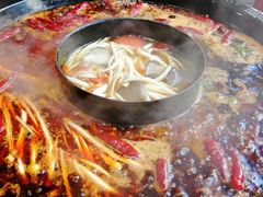 -重庆渝达老火锅(春熙路店)