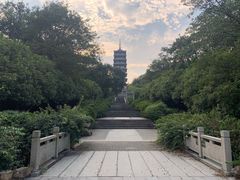 -宜兴龙背山森林公园