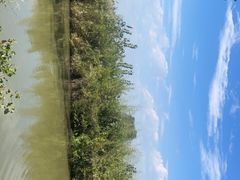 -池杉湖湿地公园