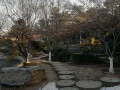 -中国唐苑