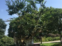 -武汉紫薇都市田园