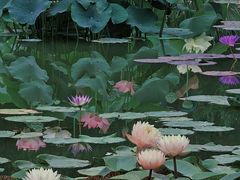 -国家植物园南园