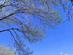 -成寿寺(地铁站)