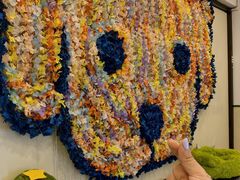 -有喵·猫咖·狗咖·30几只猫10只小狗(岗厦店)