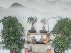 -蘇河湾·新鲁菜·泰山宴老店