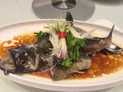 -千灯盛汇·头牌粤菜(致越优城店)