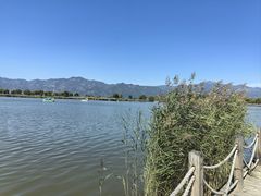 -野鸭湖国家湿地公园