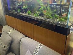 -合合大冷面(湖南店)