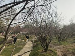 -无锡梅园公园