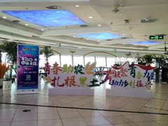 -龙塔