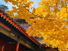 -承恩寺
