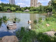 -新虹桥中心花园