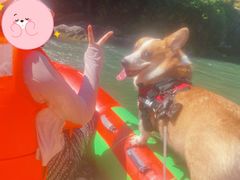 -安吉龙王山峡谷漂流