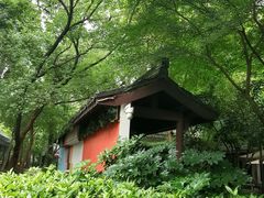 -西湖天地