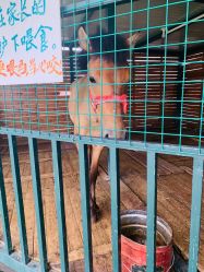 -小蜜蜂农场(凯德七宝购物广场店)