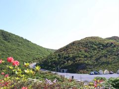 -大围山国家森林公园