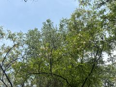 -森林公园(尖草坪区)