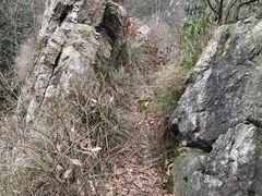 -午潮山国家森林公园