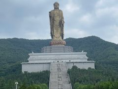 -中原大佛景区