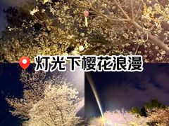 -堤角公园