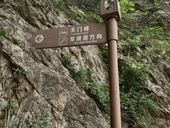 -大连天门山国家森林公园