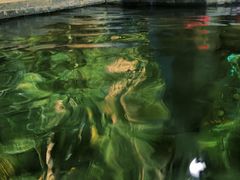 -台山颐和温泉城