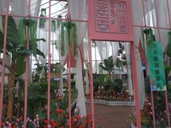-国色天乡三期陆地乐园