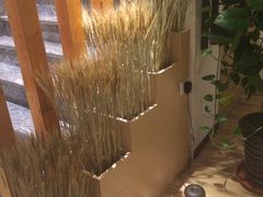 -麦子MaiMassage(打浦桥店)