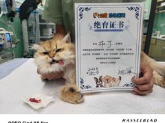 -达爱动物医院·犬猫分区·CT·复杂眼科(远洋山水分院)