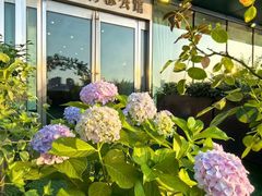 -世博源公馆·本帮融合菜·主题包厢·江景餐厅