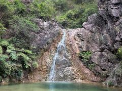 -南海湾森林生态园