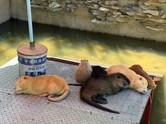 -水上乐园·欢乐世界