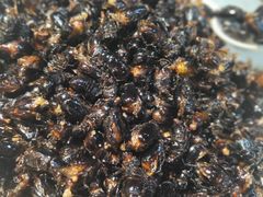 -山海经·海边人家 海鲜新青岛菜(扬州路店)