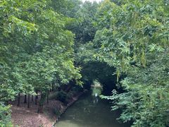-同里国家湿地公园