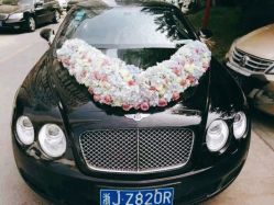 -蚂蚁婚车