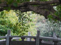 -荔枝公园(福田区)