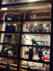 -T.1 hair salon烫染接发