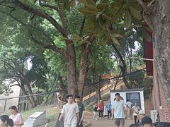 -马王堆汉墓遗址