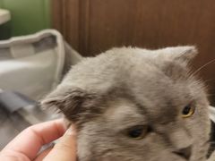 -神仙馆(衡山路店)