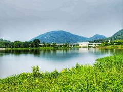 -风云岭森林公园