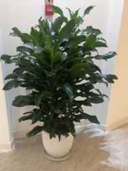 -天津伊美尔医疗整形美容专科医院