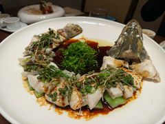 鲜花椒蒸桂花鱼-觅唐MITONG(鸟巢店)