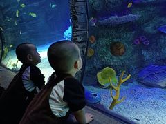 -沈阳海洋探索中心