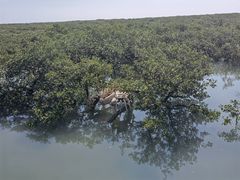 -北海金海湾红树林生态旅游区
