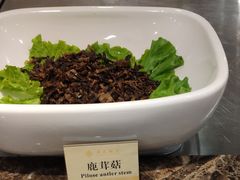 鹿茸菇-苏苑饭店-中餐厅(长桥地区店)