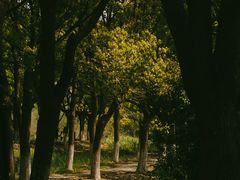 -沙家浜风景区